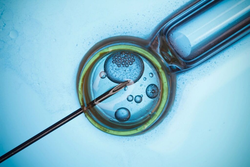 What Is IVF? A Complete Beginner’s Guide to In Vitro Fertilization.